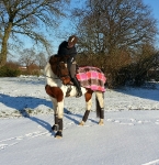 Eskadron / Coffee-Berry-Apricot-Vanilla