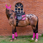 Eskadron / Coffee-Berry-Apricot-Vanilla