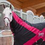 Eskadron Next Generation Herbst/Winter 2012