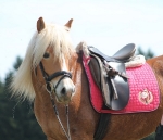 Eskadron / Nici Fuchsia-Braun-Creme