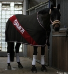 Eskadron / Taupe-Walnut-Winterred-Sahara-Carbon-White