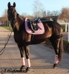 Eskadron / Blackberry-Ocean-Ice-Mauve-Grey-Black-White