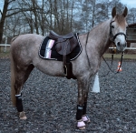 Eskadron / Blackberry-Ocean-Ice-Mauve-Grey-Black-White