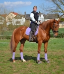 Eskadron / NG Lightviola-Lilac-Bluegrey-Mango-Olive-White