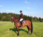 Eskadron / Carpi-Darknougat-Iceblue-Lightnougat-Navy-White