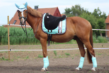 Eskadron / Capri-Darknougat-Iceblue-Lightnougat-Navy-White