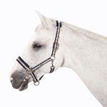 Eskadron Classic Herbst/Winter 2014