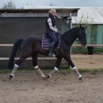 Eskadron / Capri-Darknougat-Iceblue-Lightnougat-Navy-White