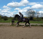 Eskadron / Capri-Darknougat-iceblue-Lightnougat-Navy-White