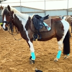 Eskadron / Capri-Darknougat-Iceblue-Lightnougat-Navy-White