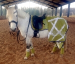 Eskadron / NG Navy-Dark Lime-Deep Pink-Grey-White