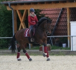 Eskadron / Darkred-Petrol-Vanilla-Walnut-Black-White