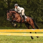 Eskadron / Darkred-Petrol-Vanilla-Walnut-Black-White