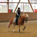 Eskadron / Darkred-Petrol-Vanilla-Walnut-Black-White