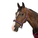 Eskadron Classic Sports Herbst/Winter 2016