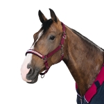 Eskadron Classic Sports Herbst/Winter 2016