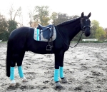 Eskadron / Iceblue-Insigniablue-Lime-Sangria-Taupe (Melange)-White