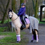 Eskadron / Nici Koala Grey-Lemon-Light Purple-Mid Blue-Pistachio