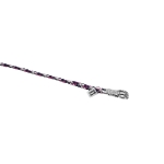 Eskadron Young Star Herbst/Winter 2018