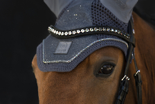 Eskadron / Essence Black-Creme-Darkolive-Doveblue