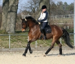 Eskadron / Platinum 2013