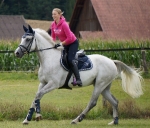 Eskadron / Platinum 2013