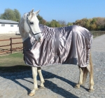 Eskadron / Platinum 2013