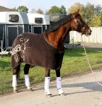 Eskadron / Platinum 2014