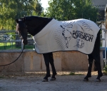 Eskadron / Platinum 2015