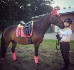 Eskadron / Platinum 2016