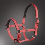 Eskadron Platinum Edition 2016 