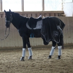 Eskadron / Platinum 2016