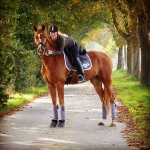 Eskadron / Platinum 2017