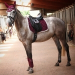 Eskadron / Platinum 2017