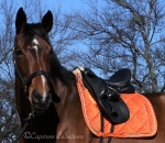 Eskadron / Platinum 2019