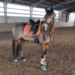 Eskadron / Platinum 2019