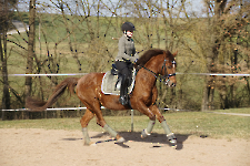 Eskadron / Platinum 2019