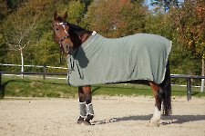 Eskadron / Platinum 2022