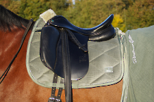 Eskadron / Platinum 2022