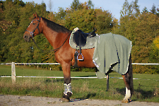 Eskadron / Platinum 2022