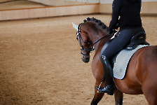 Eskadron / Platinum 2023