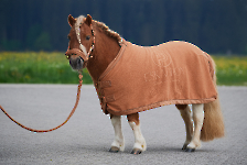 Eskadron / Platinum 2023