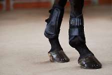 Eskadron / Platinum 2023