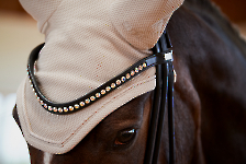 Eskadron / Platinum 2023