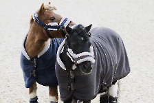 Eskadron / Platinum 2024