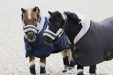 Eskadron / Platinum 2024