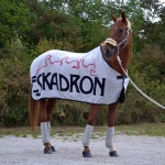 Eskadron / Standarddralon Trademark
