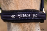 Eskadron / Jugend Marine-Royalblau-Creme