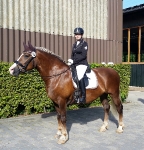 Großmann / Quattro Weiß