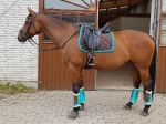 Harry's Horse / Flextrainer Türkis
